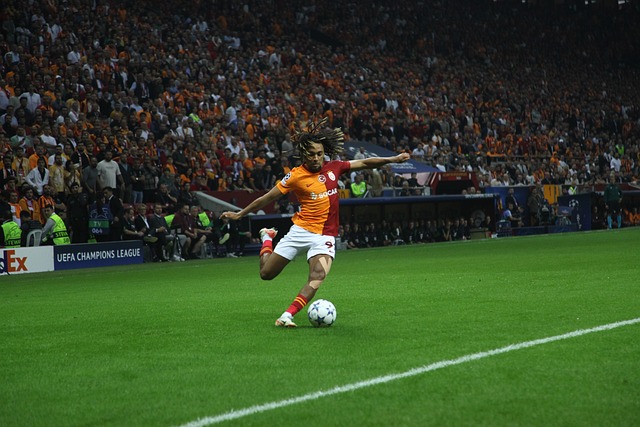 相關資訊及 相關資訊及