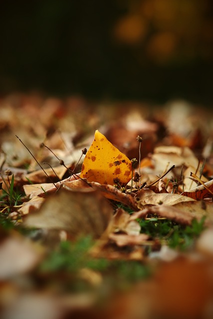 可以看到中 可以看到中