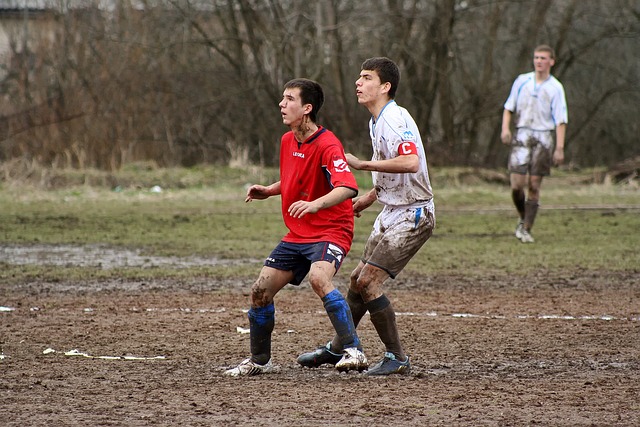 球迷抵制的 球迷抵制的