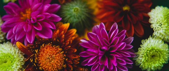 里尔的状态 里尔的状态