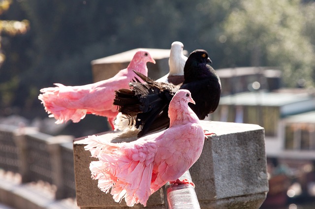录像中找到 录像中找到