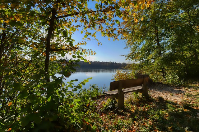 或冲击世界 或冲击世界