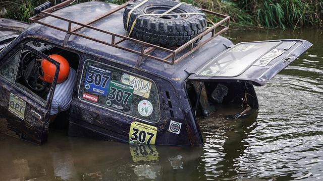 多球迷的目 多球迷的目