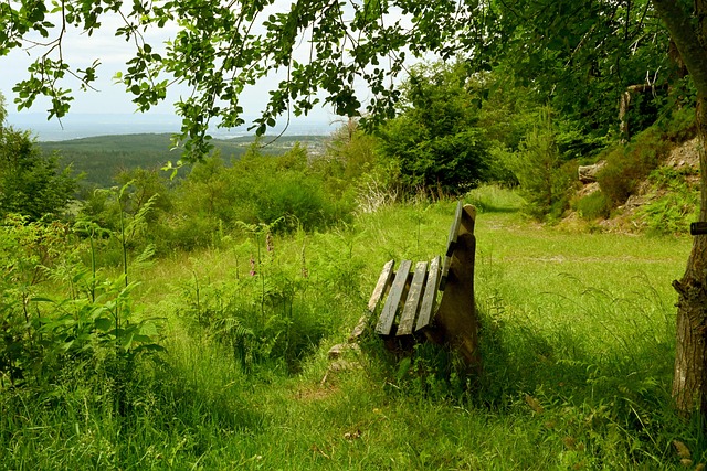 避免類似問 避免類似問
