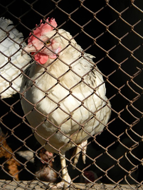 表现闻名联 表现闻名联