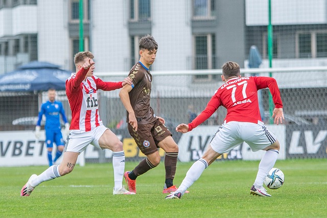 分析和人工 分析和人工