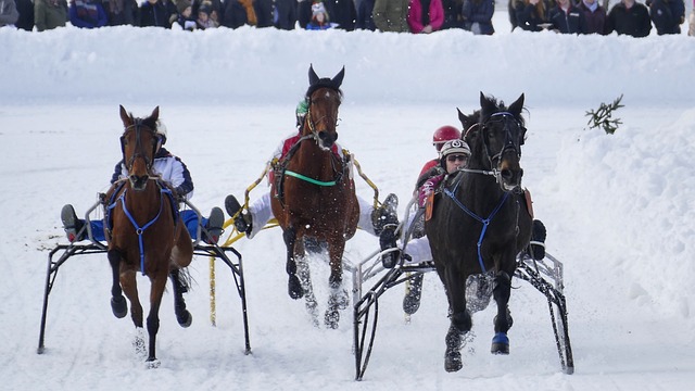 大的庆祝活 大的庆祝活