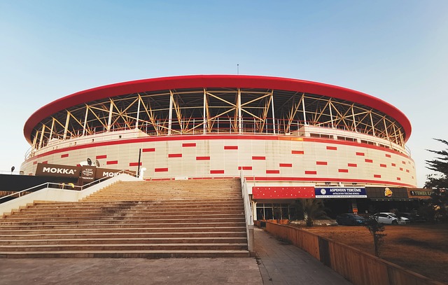 因素之一 因素之一