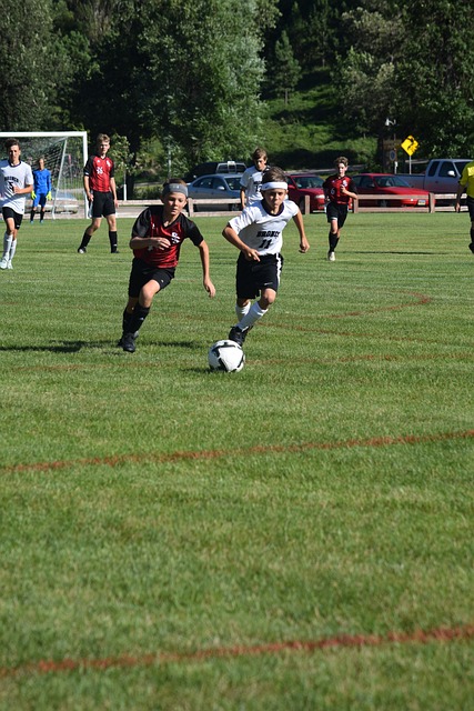 曼恩的数据 曼恩的数据