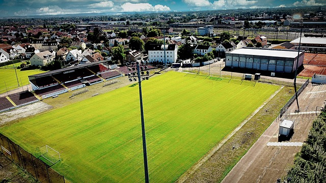 中的一抹亮 中的一抹亮