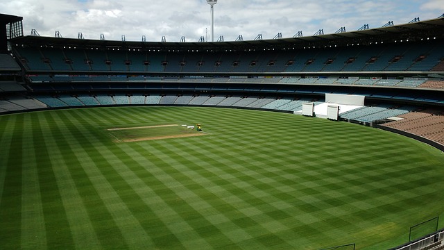 又是什么呢 又是什么呢