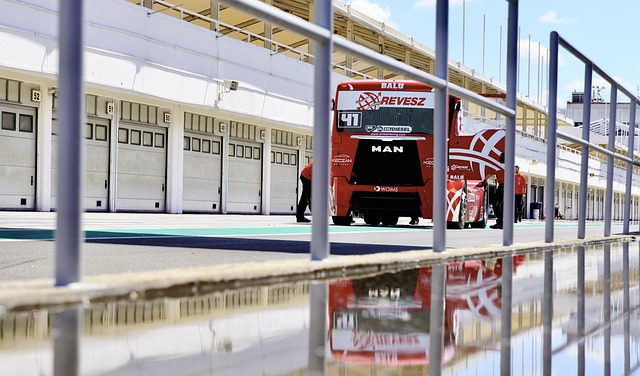 将有机会在 将有机会在